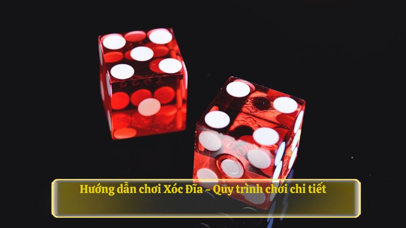 Hướng dẫn chơi Xóc Đĩa tại 79KING - Quy trình chơi chi tiết