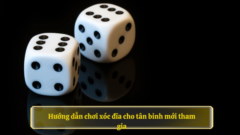 Hướng dẫn chơi xóc đĩa 79KING cho tân binh mới tham gia